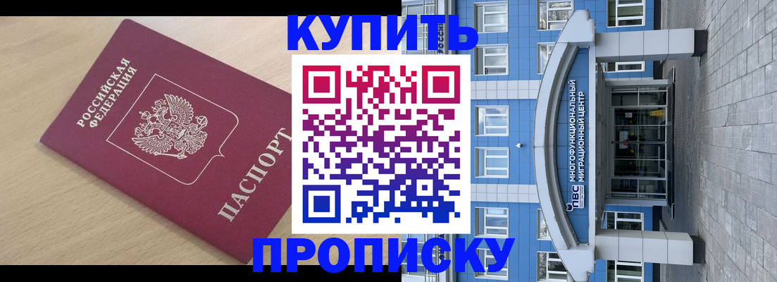 прописка поиск в Павловске